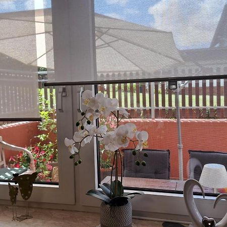 Ferienwohnung Am Reitersgaesschen Blankenrath Exteriör bild